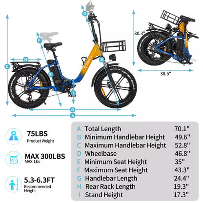 Ridstar MN-20 Folding Electric Bike with Wide Tires